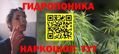 ешки Бийск