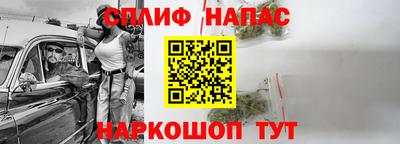 ешки Бийск